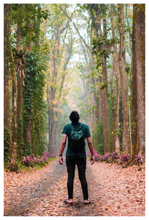 Alone in forest, i am sad